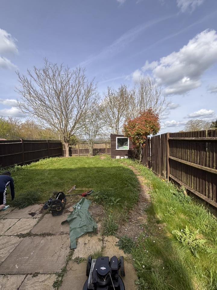 Messy lawn edges before