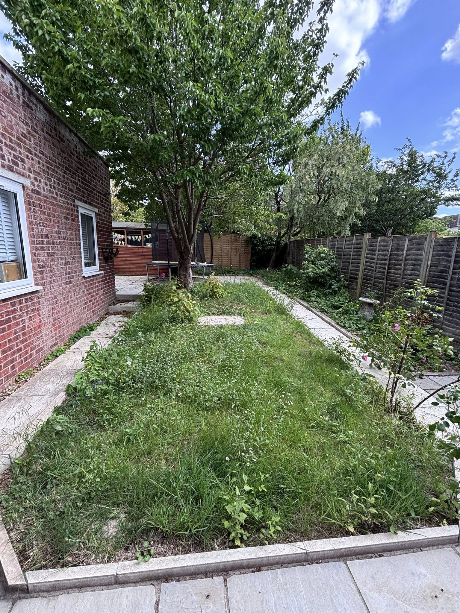 Overgrown garden before